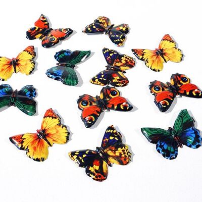Bouton papillons 12 présentoir ancien Made in Japan