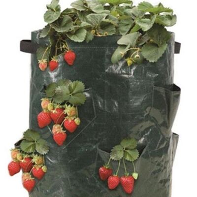 SACA'Fraise Set of 3 bags Strawberry cultivation bag - urban garden