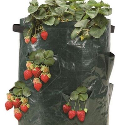SACA'Fraise Set of 3 bags Strawberry cultivation bag - urban garden
