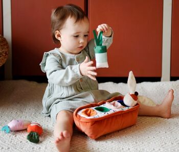 Early learning and handling toy: GABIN LAPIN's vegetable garden. 25 cm long, bell, rustling paper, Pouet ... 1