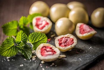 Yaourt lyophilisé aux fraises au chocolat - 1000 Gr