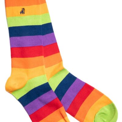 Pride Bamboo Socks (3 pairs) S