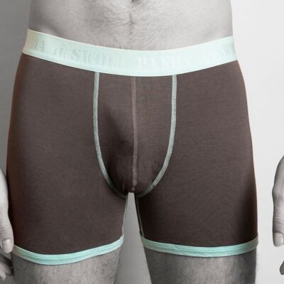 Bamboo Boxers - Grey / Mint Band
