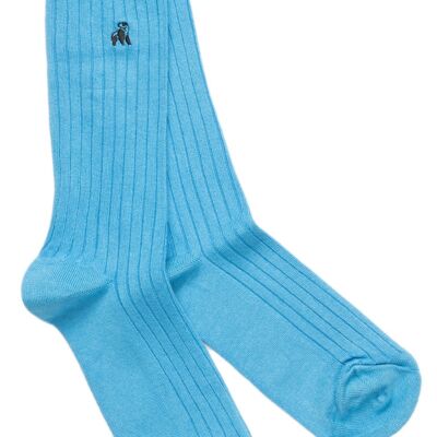 Sky Blue Bamboo Socks (3 pairs)
