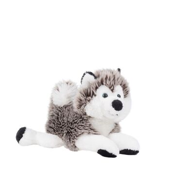 Peluche chien polaire "Husky" taille "S" 5