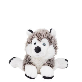 Peluche chien polaire "Husky" taille "S" 6
