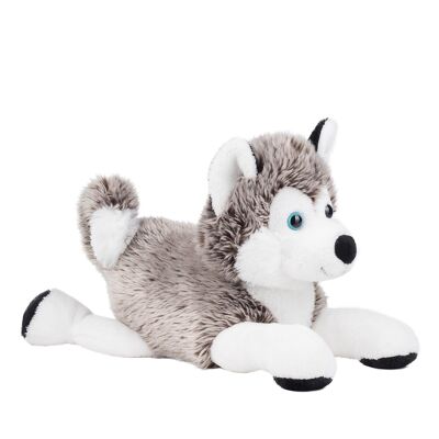 Peluche chien polaire "Husky" taille "L"