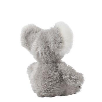 Peluche koala "Sydney" taille "S" 7