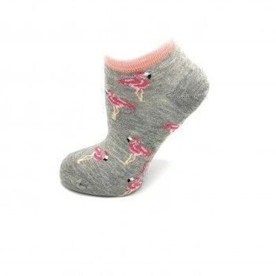 Flamand rose ecru grey