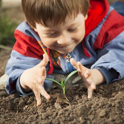 Workshop „Den Gemüsegarten entdecken“ – 8 Kinder