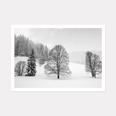 WINTER TREES - A3 (42cm x 29.7cm) unframed print