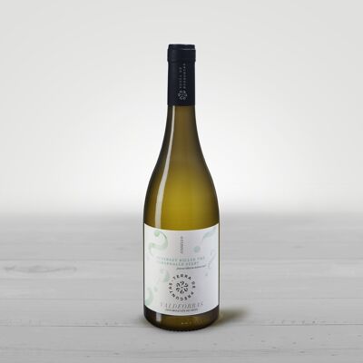 Vino Blanco D.O. Valdeorras Godello 2019 ¿Internet killed the desbarre star?