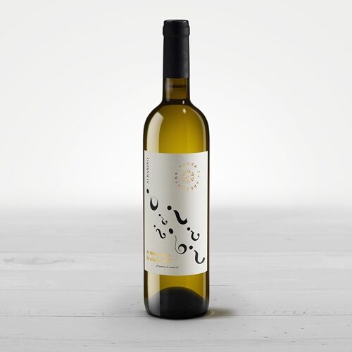 Vino Blanco D.O. Rías Baixas Albariño 2019 ¿El marisco lo traías tú?