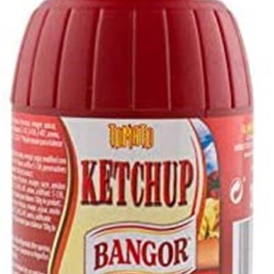 Fusto di ketchup da 290 gr scatola da 12 unità