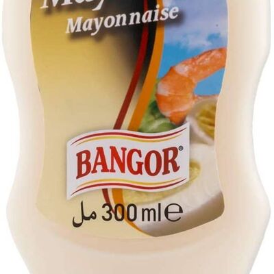 MAYONNAISE FACE UP 300 ML BOX 10 UNITS