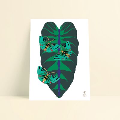 Affiche Palmes et papillons