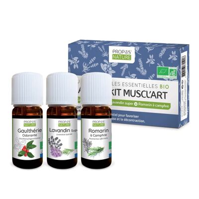 AROMAKIT MUSCL'ART - 3 HUILES ESSENTIELLES BIO DE 10 ML - GAULTHÉRIE, LAVANDIN ET ROMARIN A CAMPHRE