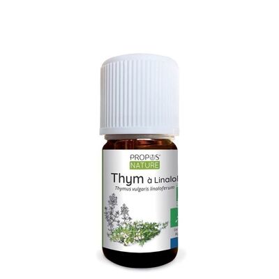 HUILE ESSENTIELLE THYM A LINALOL BIO 5ml