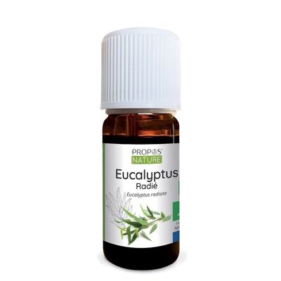 OLIO ESSENZIALE RADIATO DI EUCALIPTO BIOLOGICO 10ml