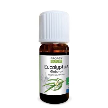 HUILE ESSENTIELLE EUCALYPTUS GLOBULUS BIO 10ml 5