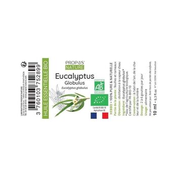 HUILE ESSENTIELLE EUCALYPTUS GLOBULUS BIO 10ml 6