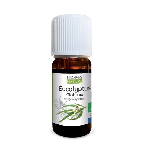 Huile essentielle d'eucalyptus globulus