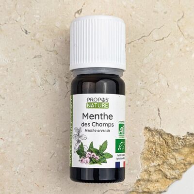HE MENTA DE LOS CAMPOS AB* 10ml