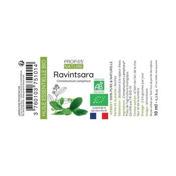 HUILE ESSENTIELLE RAVINTSARA BIO 10ml 6