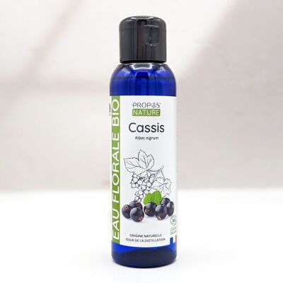 ORGANIC BLACKCURRANT HYDROLAT - FLORAL WATER - 100 ML