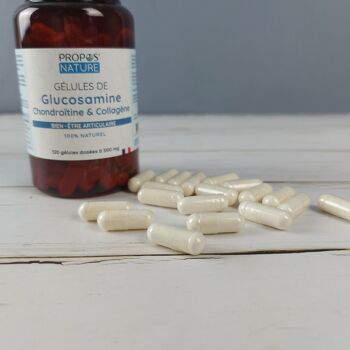 GELULES GLUCOSAMINE 120 Gélules 8