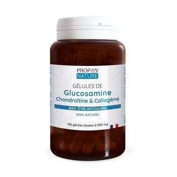 GELULES GLUCOSAMINE 120 Gélules 1