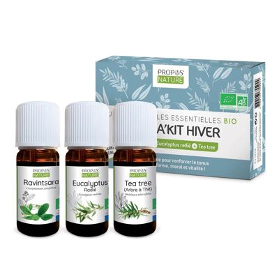 WINTER AROMAKIT - 3 ORGANIC ESSENTIAL OILS OF 10 ML - RAVINTSARA, RADIATED EUCALYPTUS AND TEA TREE