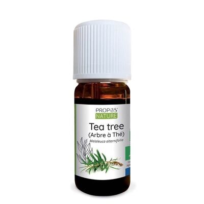 HUILE ESSENTIELLE TEA TREE BIO 10 ML