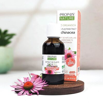 ESTRATTO DI ECHINACEA BIO - PIANTA FRESCA - ECHINACEA - DIFESE NATURALI - 50 ML