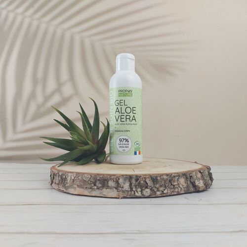 GEL D'ALOE VERA BIO - EN FLACON - 200ML