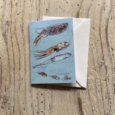 Cephalopods Greetings Card