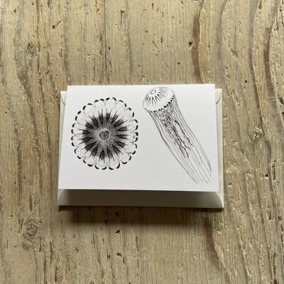 Compass Jellyfish Greetings Card