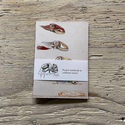 Little  Atlantic Cuttlefish Pocket Notebook