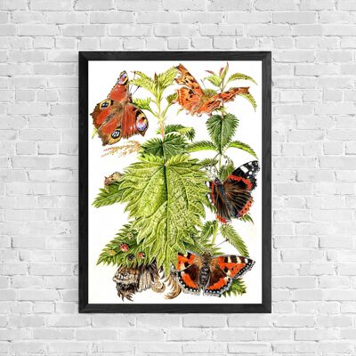 Nettle and Butterflies - Giclée Art Print