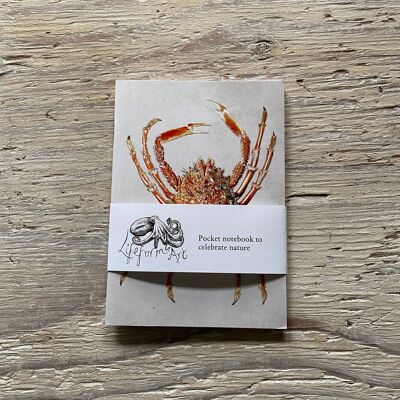 Spider Crab Pocket Notebook