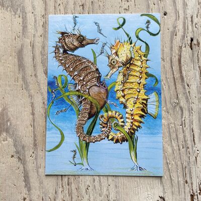 Spiny Seahorse Print