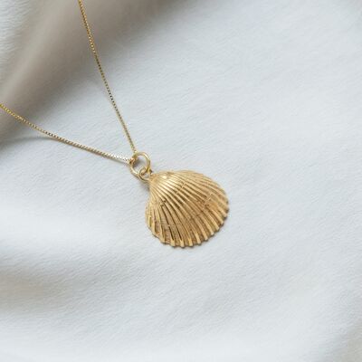Large Shell Pendant - Gold-Plated Silver & Necklace