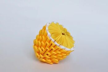 Kit Origami 3D - Citron 1