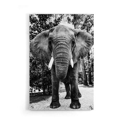 Pot mural - Eléphant d'Afrique - Plexiglas / 120 x 180 cm