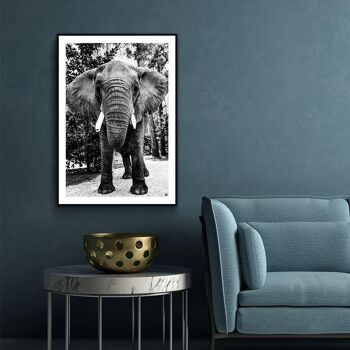 Pot mural - Eléphant d'Afrique - Plexiglas / 120 x 180 cm 2