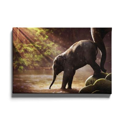 Walljar - Bébé éléphant - Toile / 80 x 120 cm