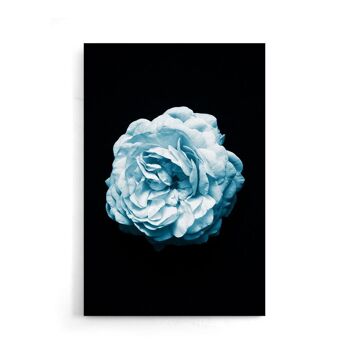 Walljar - Camélia Bleu - Affiche / 50 x 70 cm 1