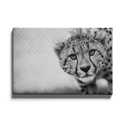 Walljar - Cheetah Up Close - Canvas / 30 x 45 cm