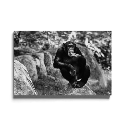 Walljar - Chimpanzee - Plexiglas / 80 x 120 cm