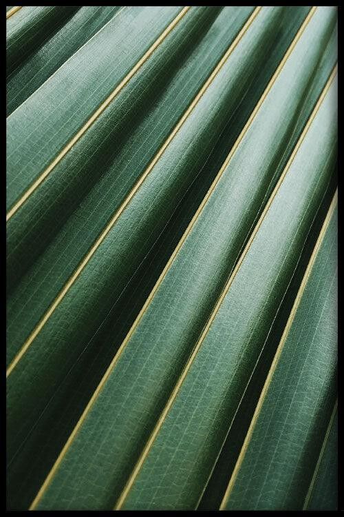 Walljar - Close-up Leaf II - Póster con marco / 50 x 70 cm